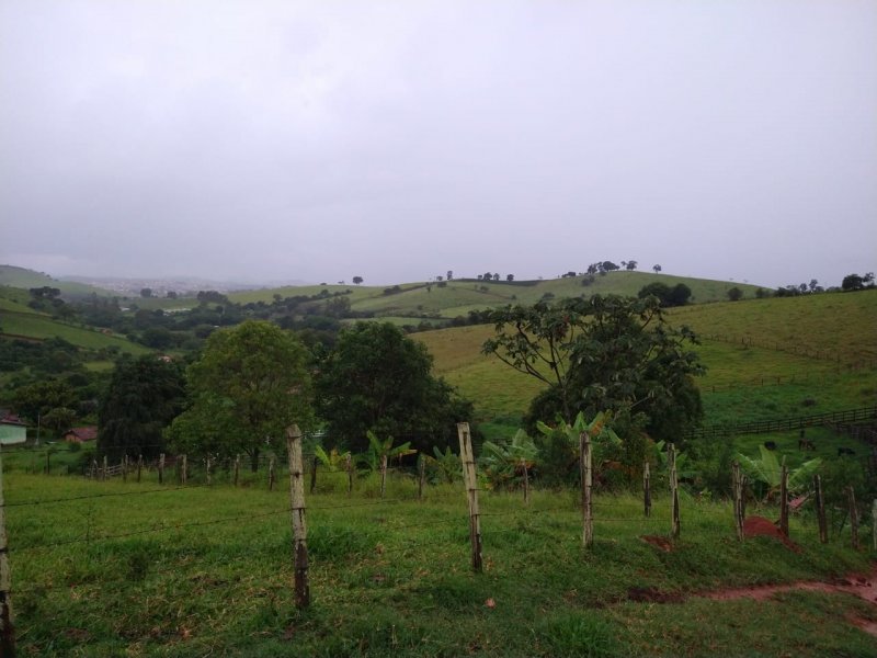 Stio - Venda - Zona Rural - Borda da Mata - MG